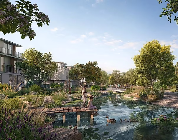 Avelia The Valley