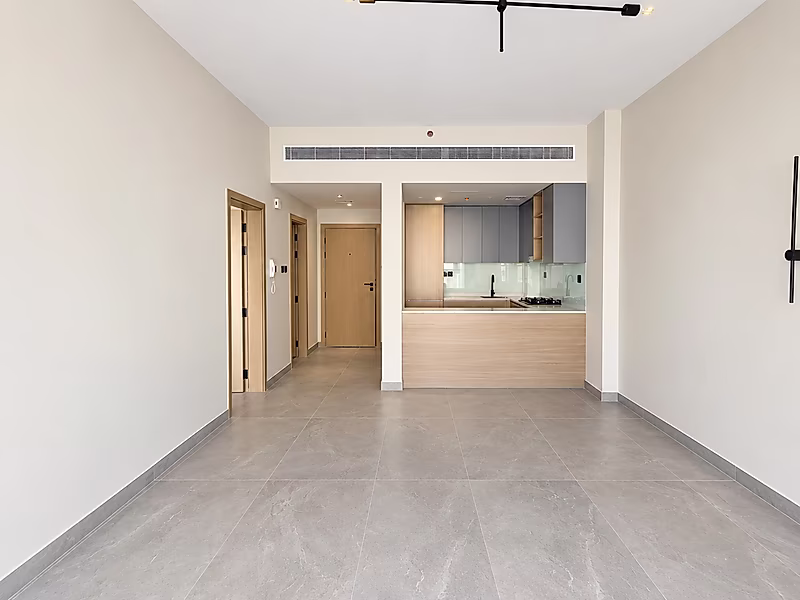 OP Price | Luxury Apartment | Brand New - Photo 1