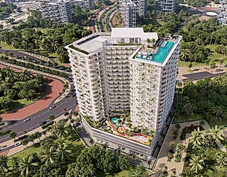 Cove Grand